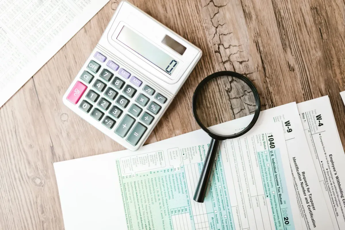 Malha Fina: Como Consultar e Sair Dela